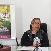 100 cultivadores certificados por SEMARNAT ofertarán pinos y oyamel en Feria del Bosque Navideño