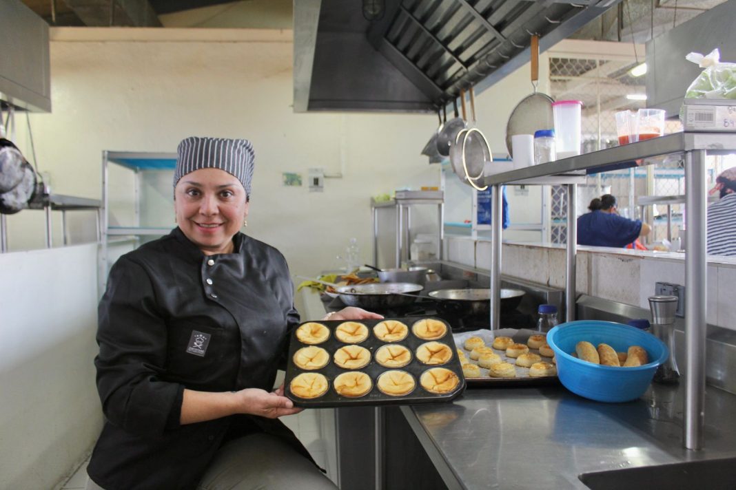 Lanzan descuento del 20% para jóvenes, disponible para más de 850 cursos en el Icatmi