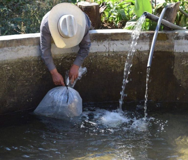 Con apoyo del ayuntamiento, productores piscícolas se preparan para la cuaresma