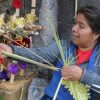 Pese a incremento de costo en materiales, artesanos mantienen tradición de las palmas