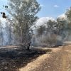 Llaman a proteger las vías respiratorias en caso de incendios forestales