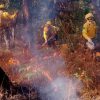 Reportan seis incendios forestales en Michoacán