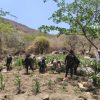 Refuerzan operativos en Huetamo, destruyen más de 14 mil plantas de marihuana