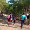 Siguen ataques armados a comunidades indígenas, ahora fue el Ostula