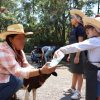 Zoológico de Morelia invita a ser granjeros por un día