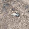 Mueren dos jornaleros tras explosión de presunta mina terrestre en Apatzingán