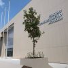 Declara ayuntamiento descanso este jueves 11 de junio