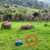 Aseguran artefacto explosivo improvisado en Tangamandapio