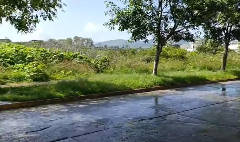 Fondo