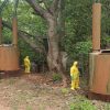 Desmantelan narcolaboratorio en Arteaga; golpe económico supera los 4 mil mdp