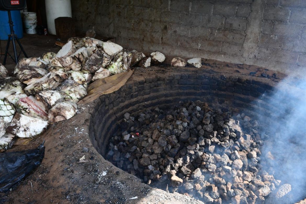Últimos días para integrarse al nuevo Consejo Michoacano del Mezcal