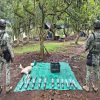 Soldados localizan narco campamento en Cotija; aseguran 10 kilos de explosivo y 36 artefactos