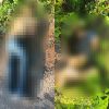 Hallan a dos hombres ejecutados en el municipio de Zinapécuaro