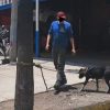 Taller mecánico de Morelia incurre en maltrato animal