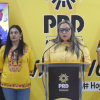 Minimiza PRD Michoacán acusaciones contra pueblos indígenas