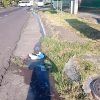 Denuncian vecinos de Lomas de la Maestranza escurrimientos de aguas negras