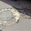 Ocho cuadrillas trabajan en toda la ciudad para tapar baches