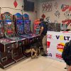 Aseguran 16 máquinas tragamonedas, droga y detienen a mujer en cateo a inmueble en el centro de Morelia