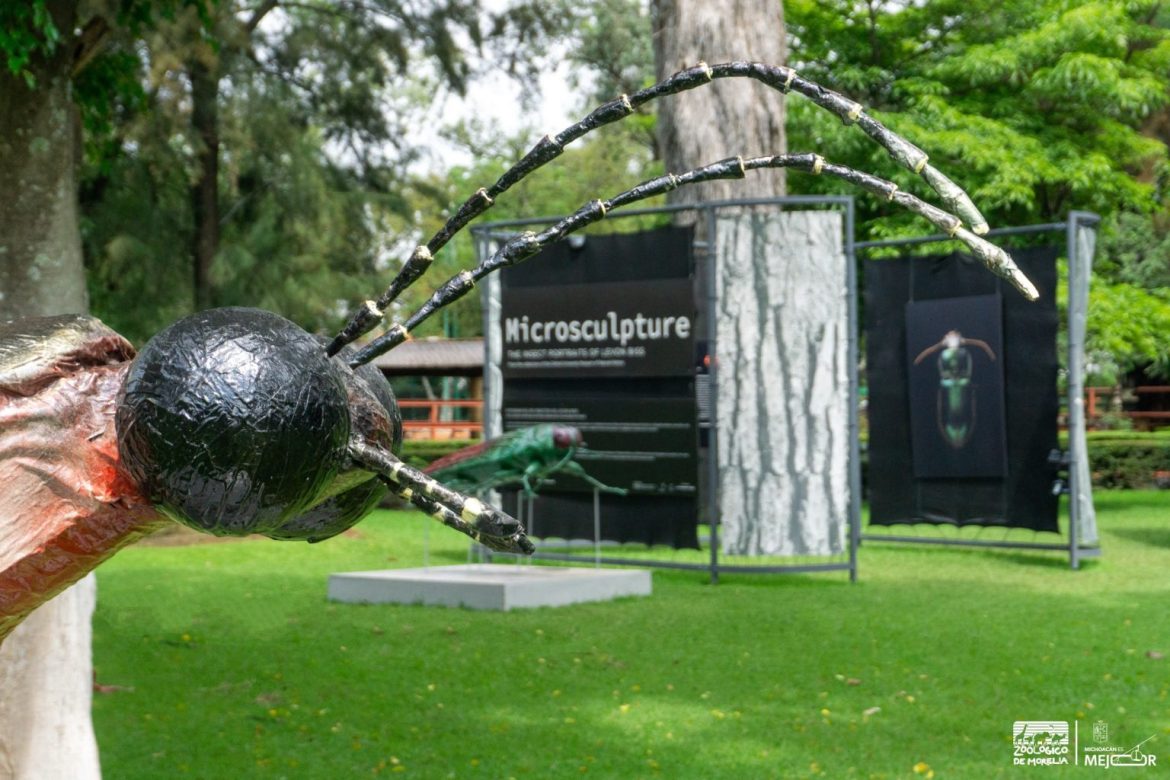 Últimos días para visitar exposición fotográfica “Insectus” en el Zoológico de Morelia