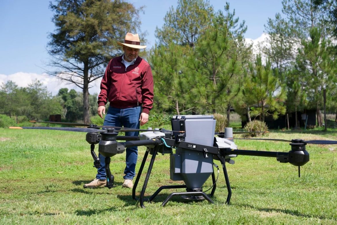 Michoacán dispersará con drones 200 mil semillas forestales