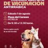 Vacunación antirrábica gratuita para perros y gatos en la Plaza del Carmen, Morelia