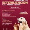 Realizarán jornada gratuita de esterilización animal en Quiroga