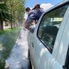 Refuerza ayuntamiento acciones de fumigación en Hacienda Tiníjaro