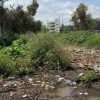 Dren Barajas, uno de los puntos más conflictivos de taponamientos de basura por lluvias