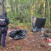 Desmantelan tres narcocampamentos en Salvador Escalante