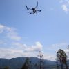Con tecnología reforestan los bosques michoacanos