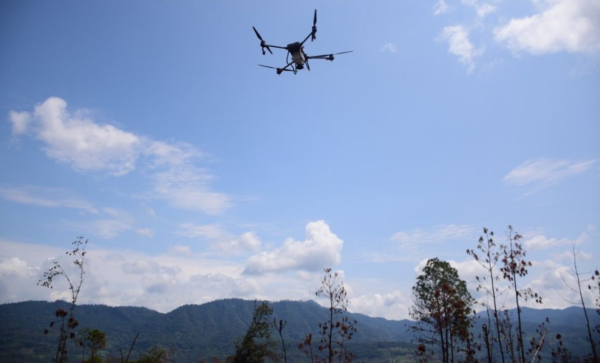 Con tecnología reforestan los bosques michoacanos