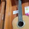 En agosto inicia impartición de Licenciatura en Guitarrería en UMSNH, en Paracho