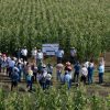 Liderará Michoacán el programa piloto nacional para la producción sustentable de maíz