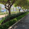 Obra del Parque Lineal de la Avenida Quinceo, al 90 por ciento de avance