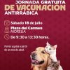 Realizará jornada de vacunación antirrábica para perros y gatos en Morelia