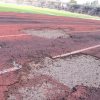 Se pretende dejar lista la pista de atletismo del Venustiano antes de que concluya la administración: Morón