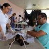 Habrá jornada de esterilización gratuita para perros y gatos en Uruapan