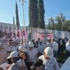 Exigen jubilados de CFE restitución de recorte ilegal del 60 % a sus pensiones