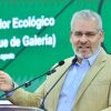 Trasplante de árboles elevará costo del Morebús; aún no hay monto definido