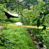 Localizan a hombre sin vida en una huerta de zarzamora, en Tacámbaro