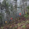 Encabeza alcalde jornada de reforestación en Morelia