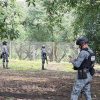 Por llamadas de extorsión la suspensión de envío de aguacate a EU