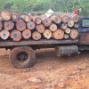 Aseguran camión cargado de 6.1 metros cúbicos de madera de pino durante operativo contra la tala ilegal en Morelia