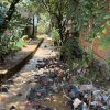 Detectan 7.5 kilómetros invadidos en el borde del río Guani, en Pátzcuaro