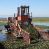 Intensifican trabajos de recuperación en el lago de Cuitzeo con maquinaria especializada