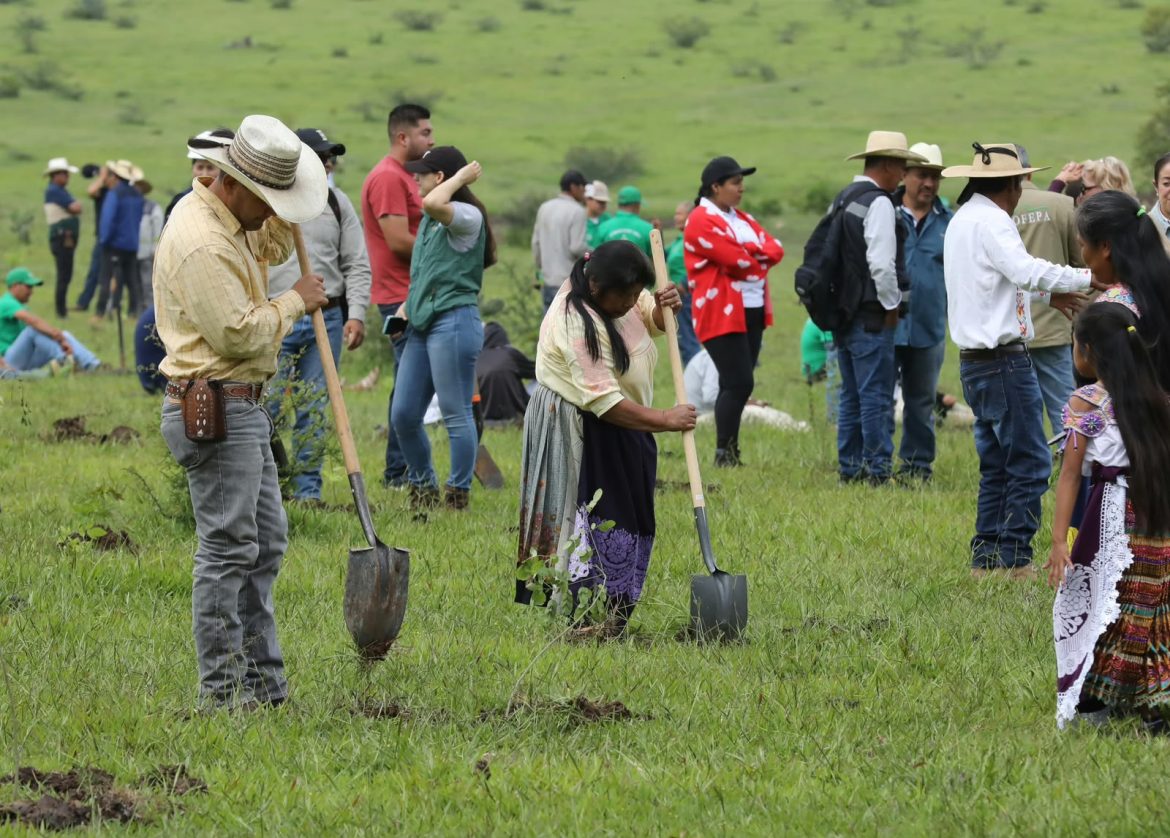 Más de 10 mil michoacanos se suman a la Jornada Nacional de Reforestación: Bedolla