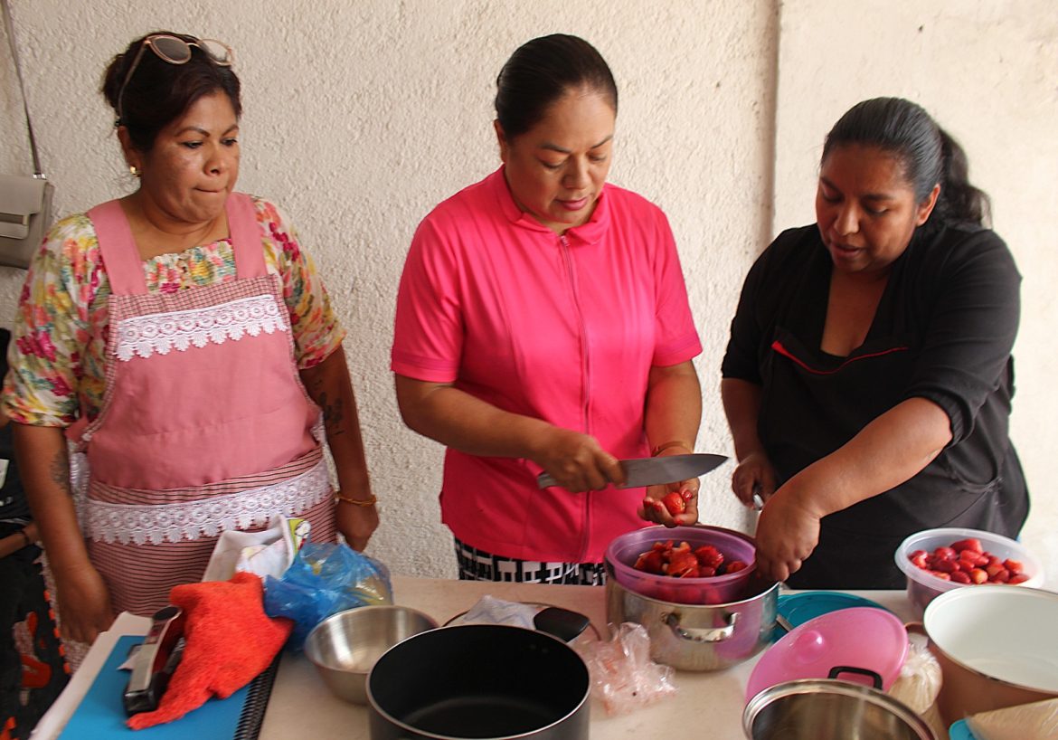 Saderm fomenta capacitación y autoempleo en tenencias