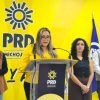 Diálogo con Morena responde a estrategia rumbo a 2027, no a supervivencia electoral: PRD Michoacán