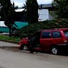 Auto choca contra árbol y lo derriba en la avenida Periodismo, en Morelia