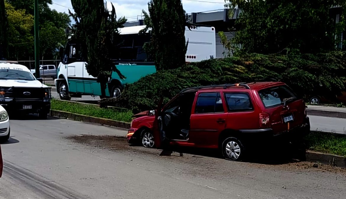 Auto choca contra árbol y lo derriba en la avenida Periodismo, en Morelia